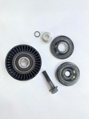 Polia Alternador BMW 118i 120i 320i